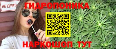 спайс Тавда