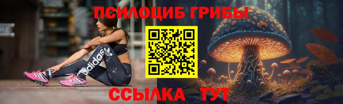где можно купить наркотик  Вход с VPN  Дзержинский  Псилоцибиновые грибы Magic Shrooms 